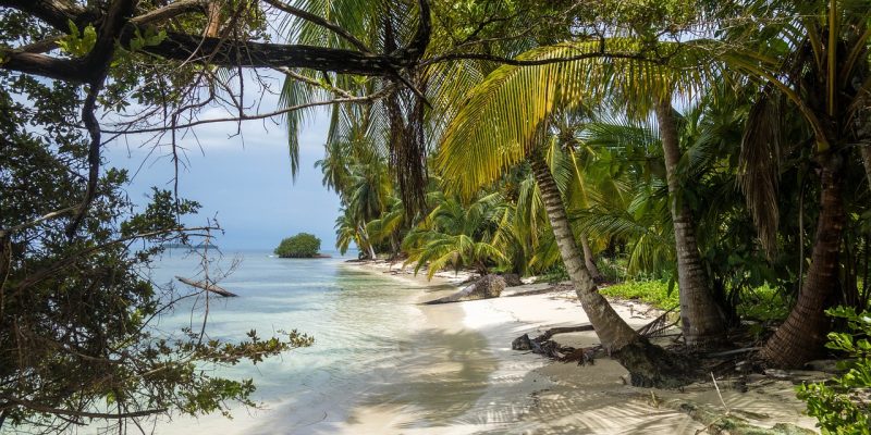 beach, san blas islands, panama-4388225.jpg